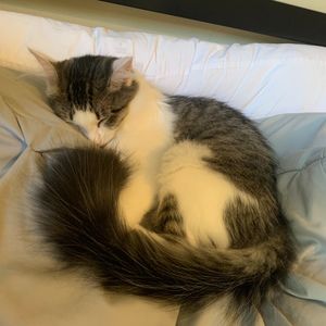 Meet your Posher, London